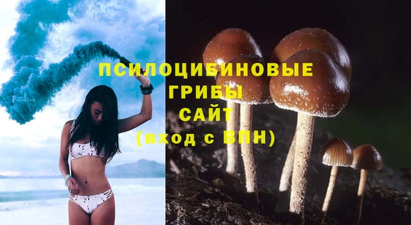 твердый Алексеевка