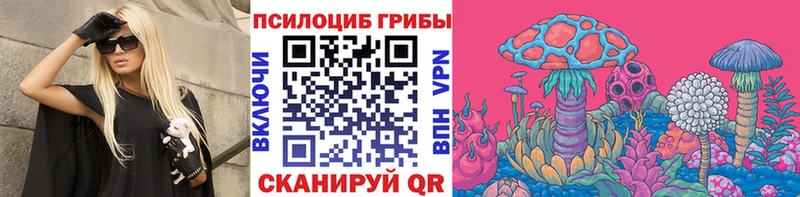 Псилоцибиновые грибы Psilocybe где продают наркотики нарко площадка состав Красноуральск